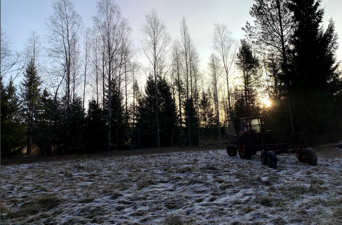 En lätt frostad åker med en rostig traktor på höger sida, omgiven av höga lövlösa träd och vintergröna växter. Solen står lågt på himlen och syns delvis genom träden.
