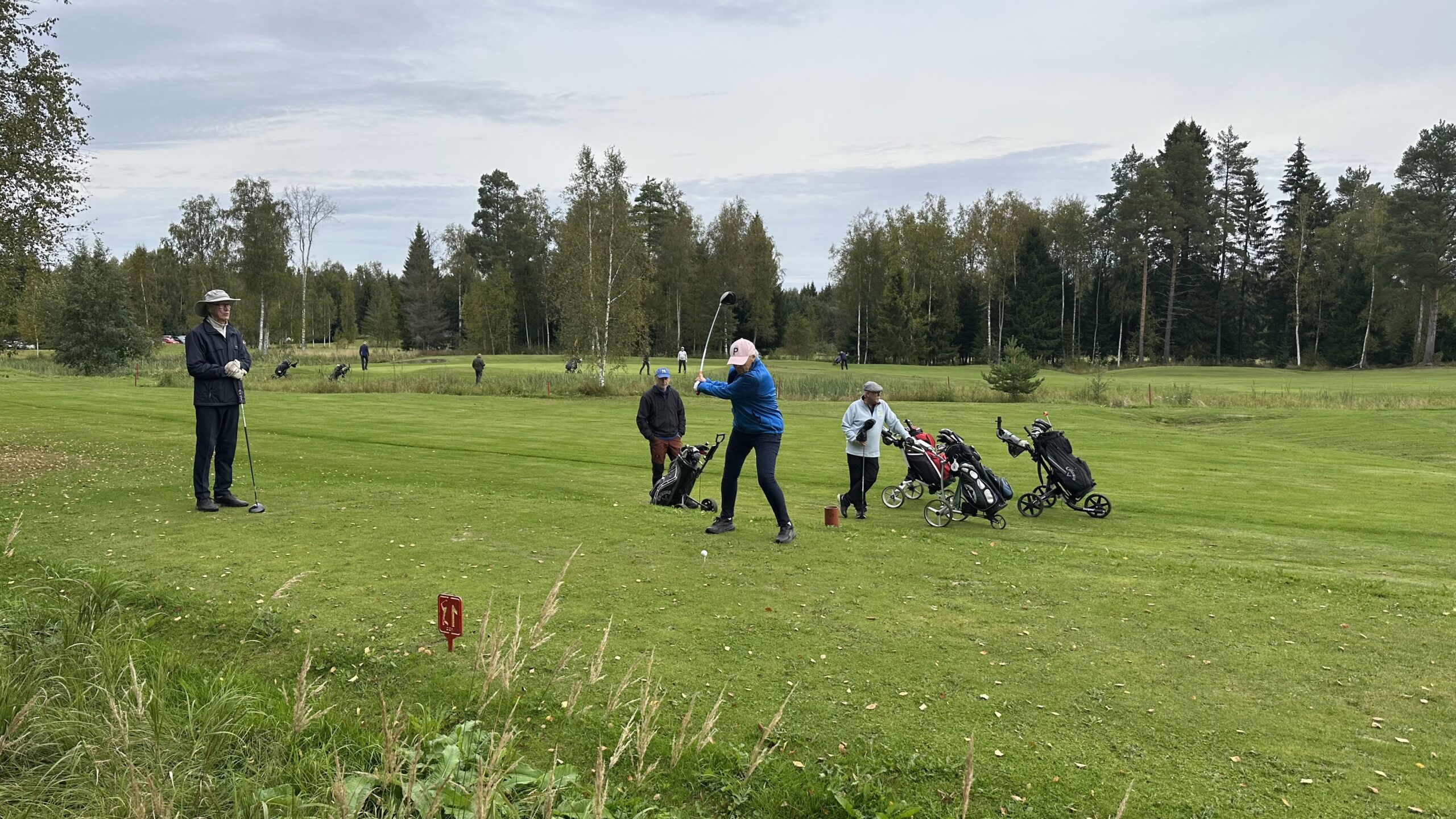 En person i blå jacka svingar en golfklubba på en golfbana medan tre andra tittar på. Flera golfbagar på vagnar finns i närheten. Det finns träd och fler människor i bakgrunden.